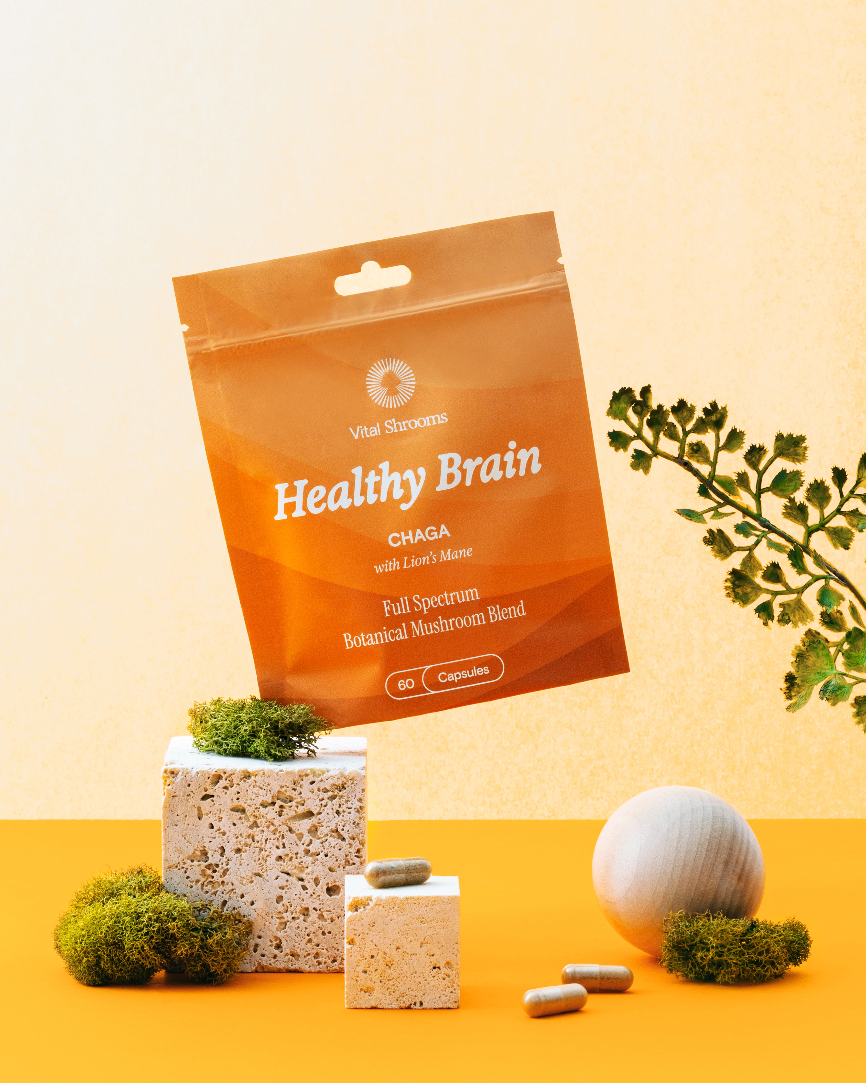 Healthy Brain